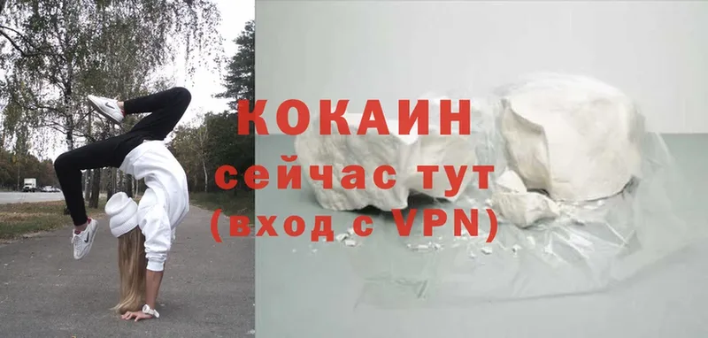 цена   Новоалександровск  Cocaine VHQ 